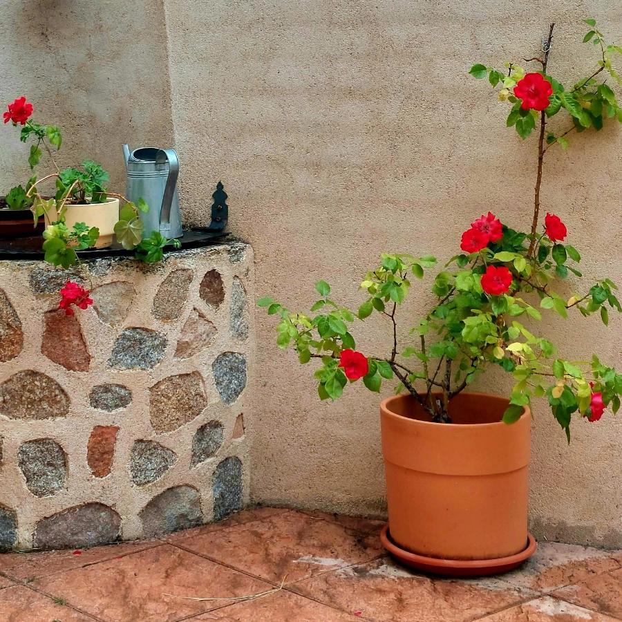 Casa Rural Abuela Reme El Fresno Exteriör bild
